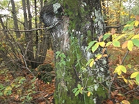 otta dei Pastori04112011 182